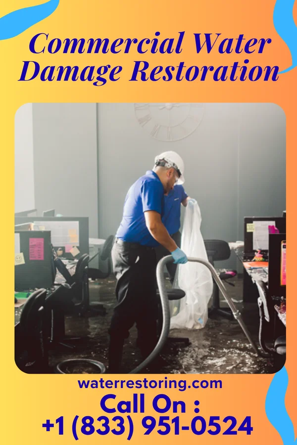 Commercial Water Damage Restoration in Bonfield, IL