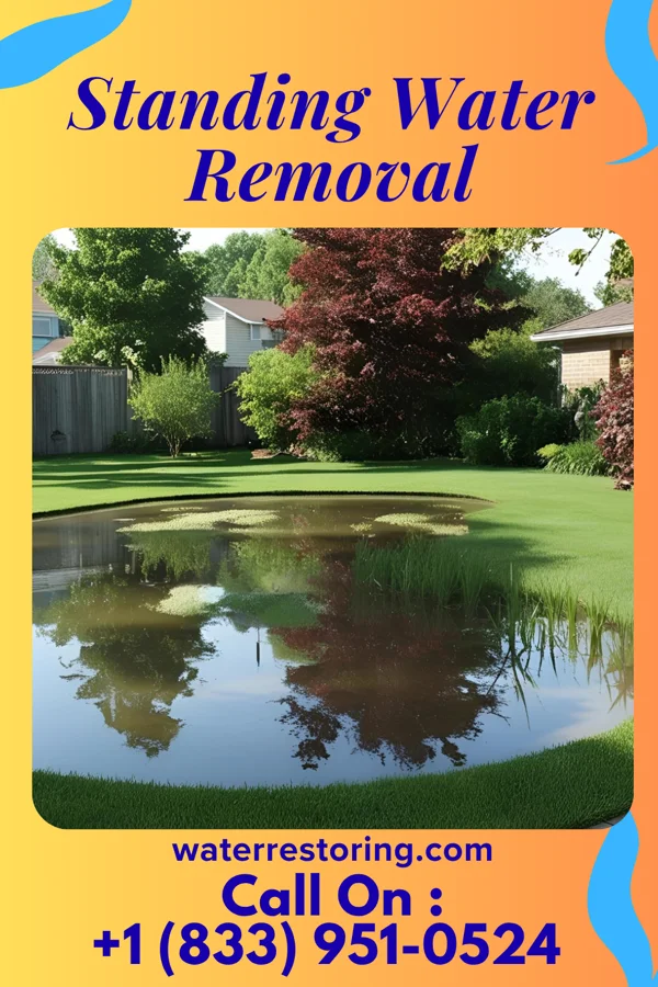 Standing Water Removal in Bonfield, IL